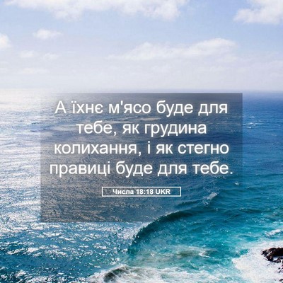 Picture 05 - Числа 18:18 UKR - А їхнє м'ясо буде для тебе, - Bible Verse Picture