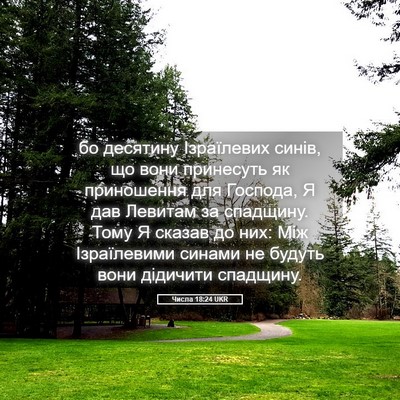 Picture 05 - Числа 18:24 UKR - бо десятину Ізраїлевих - Bible Verse Picture