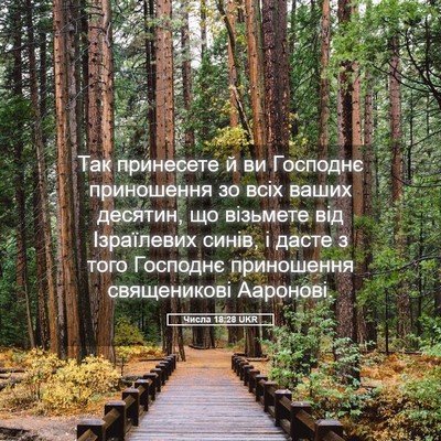 Picture 05 - Числа 18:28 UKR - Так принесете й ви - Bible Verse Picture