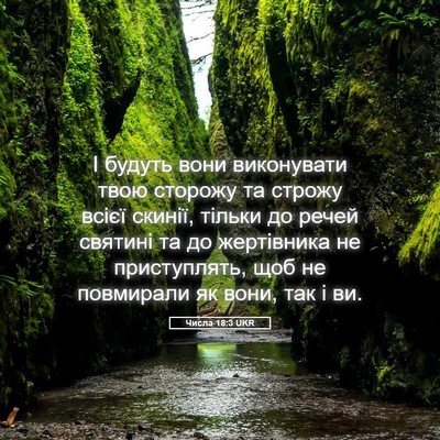 Picture 05 - Числа 18:3 UKR - І будуть вони виконувати - Bible Verse Picture