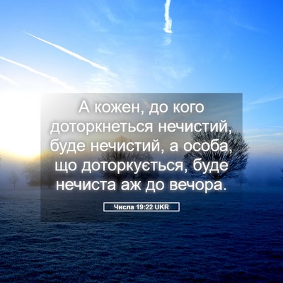 Picture 05 - Числа 19:22 UKR - А кожен, до кого - Bible Verse Picture