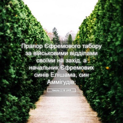 Picture 05 - Числа 2:18 UKR - Прапор Єфремового табору - Bible Verse Picture