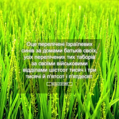 Picture 05 - Числа 2:32 UKR - Оце перелічені Ізраїлевих - Bible Verse Picture