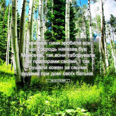Picture 05 - Числа 2:34 UKR - І Ізраїлеві сини зробили - Bible Verse Picture