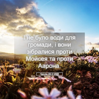 Picture 05 - Числа 20:2 UKR - І не було води для громади, - Bible Verse Picture