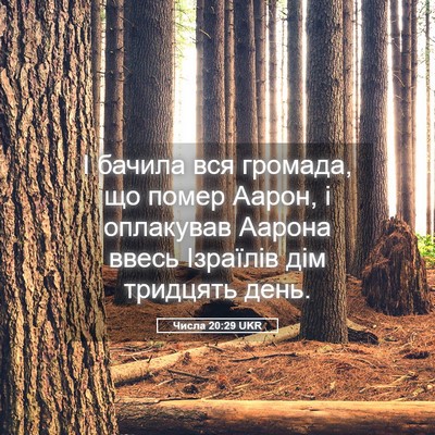 Picture 05 - Числа 20:29 UKR - І бачила вся громада, що - Bible Verse Picture