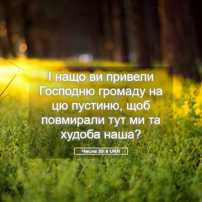 Picture 05 - Числа 20:4 UKR - І нащо ви привели Господню - Bible Verse Picture