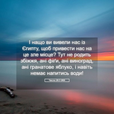 Picture 05 - Числа 20:5 UKR - І нащо ви вивели нас із - Bible Verse Picture