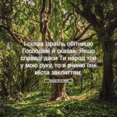 Picture 05 - Числа 21:2 UKR - І склав Ізраїль обітницю - Bible Verse Picture
