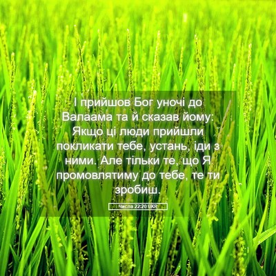 Picture 05 - Числа 22:20 UKR - І прийшов Бог уночі до - Bible Verse Picture
