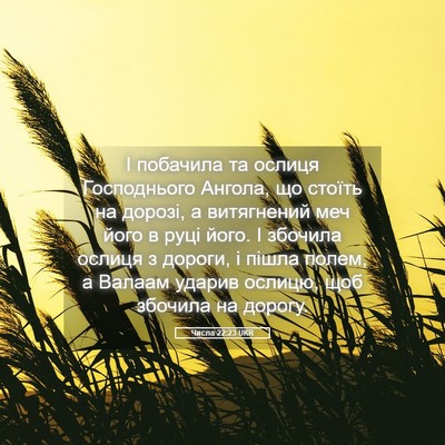 Picture 05 - Числа 22:23 UKR - І побачила та ослиця - Bible Verse Picture