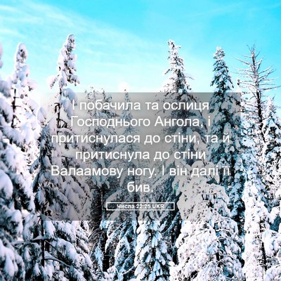 Picture 05 - Числа 22:25 UKR - І побачила та ослиця - Bible Verse Picture