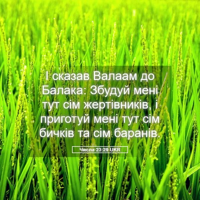 Picture 05 - Числа 23:29 UKR - І сказав Валаам до Балака: - Bible Verse Picture