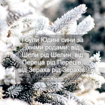 Picture 05 - Числа 26:20 UKR - І були Юдині сини за їхніми - Bible Verse Picture