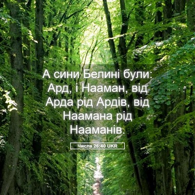 Picture 05 - Числа 26:40 UKR - А сини Белині були: Ард, і - Bible Verse Picture