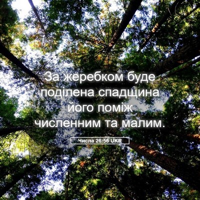 Picture 05 - Числа 26:56 UKR - За жеребком буде поділена - Bible Verse Picture