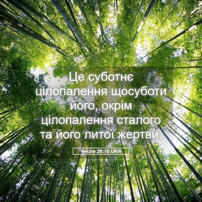 Picture 05 - Числа 28:10 UKR - Це суботнє цілопалення - Bible Verse Picture