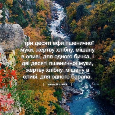 Picture 05 - Числа 28:12 UKR - і три десяті ефи пшеничної - Bible Verse Picture