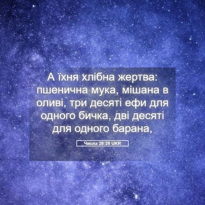 Picture 05 - Числа 28:28 UKR - А їхня хлібна жертва: - Bible Verse Picture