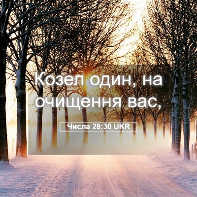 Picture 05 - Числа 28:30 UKR - Козел один, на очищення - Bible Verse Picture