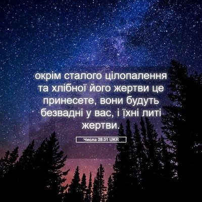 Picture 05 - Числа 28:31 UKR - окрім сталого цілопалення - Bible Verse Picture
