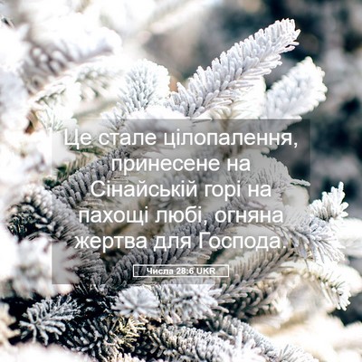 Picture 05 - Числа 28:6 UKR - Це стале цілопалення, - Bible Verse Picture