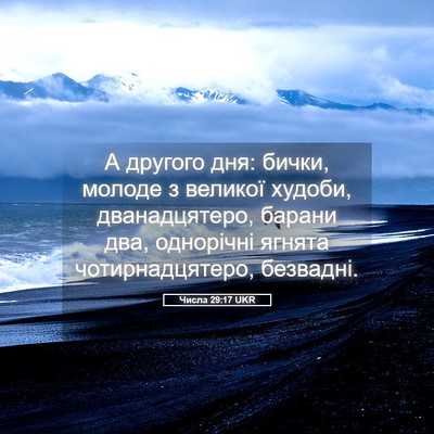 Picture 05 - Числа 29:17 UKR - А другого дня: бички, - Bible Verse Picture