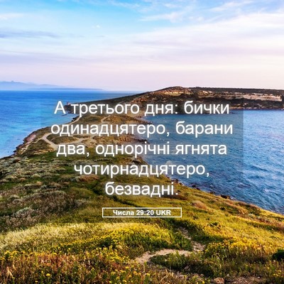 Picture 05 - Числа 29:20 UKR - А третього дня: бички - Bible Verse Picture