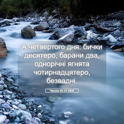 Picture 05 - Числа 29:23 UKR - А четвертого дня: бички - Bible Verse Picture