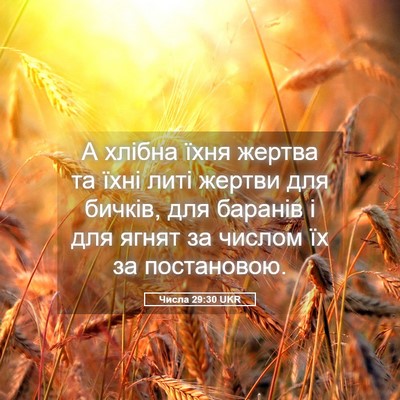 Picture 05 - Числа 29:30 UKR - А хлібна їхня жертва та - Bible Verse Picture