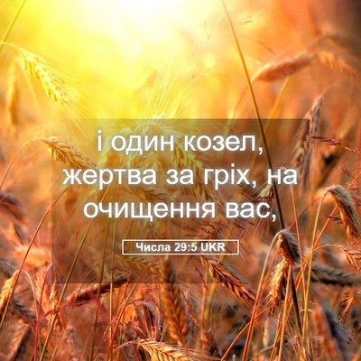 Picture 05 - Числа 29:5 UKR - і один козел, жертва за - Bible Verse Picture
