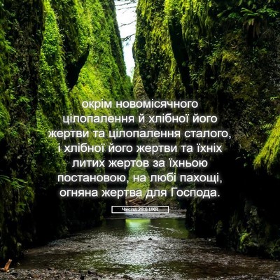 Picture 05 - Числа 29:6 UKR - окрім новомісячного - Bible Verse Picture