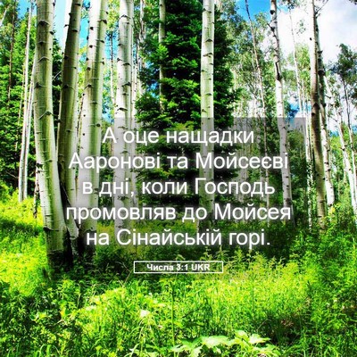Picture 05 - Числа 3:1 UKR - А оце нащадки Ааронові та - Bible Verse Picture