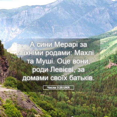 Picture 05 - Числа 3:20 UKR - А сини Мерарі за їхніми - Bible Verse Picture