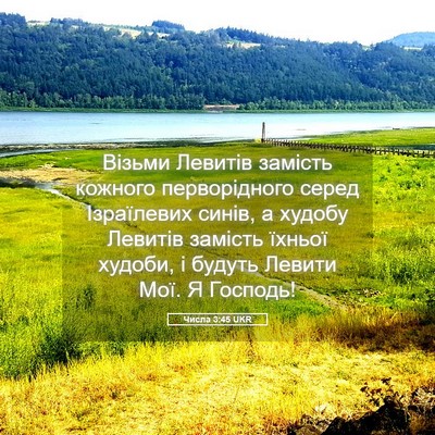 Picture 05 - Числа 3:45 UKR - Візьми Левитів замість - Bible Verse Picture