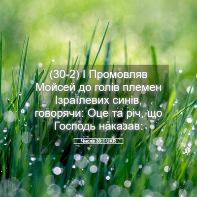 Picture 05 - Числа 30:1 UKR - (30-2) І Промовляв Мойсей до - Bible Verse Picture