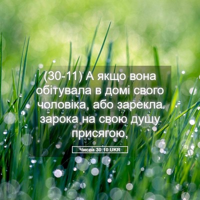 Picture 05 - Числа 30:10 UKR - (30-11) А якщо вона обітувала - Bible Verse Picture