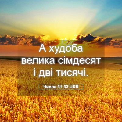 Picture 05 - Числа 31:33 UKR - А худоба велика сімдесят і - Bible Verse Picture