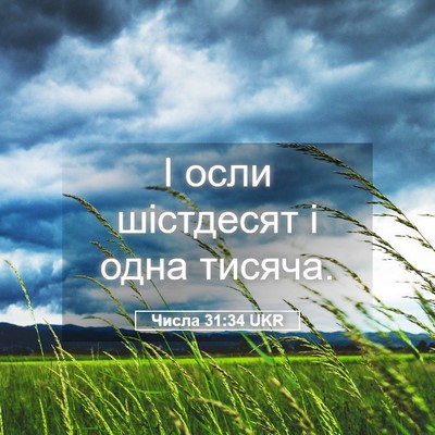 Picture 05 - Числа 31:34 UKR - І осли шістдесят і одна - Bible Verse Picture