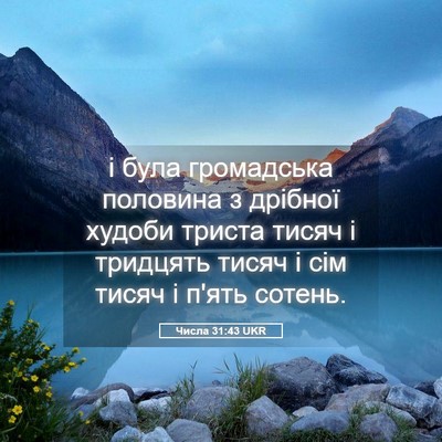 Picture 05 - Числа 31:43 UKR - і була громадська половина - Bible Verse Picture