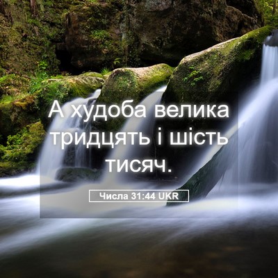 Picture 05 - Числа 31:44 UKR - А худоба велика тридцять і - Bible Verse Picture