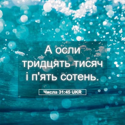 Picture 05 - Числа 31:45 UKR - А осли тридцять тисяч і - Bible Verse Picture