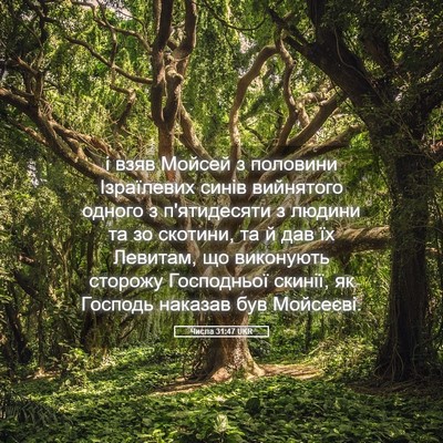 Picture 05 - Числа 31:47 UKR - і взяв Мойсей з половини - Bible Verse Picture