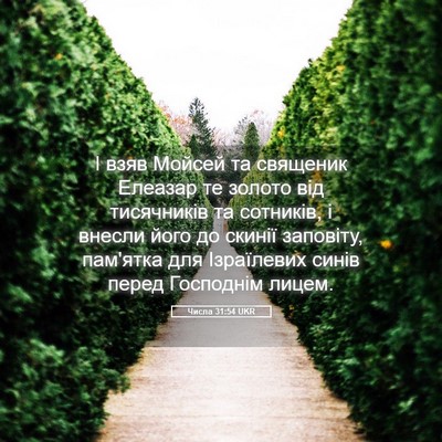 Picture 05 - Числа 31:54 UKR - І взяв Мойсей та священик - Bible Verse Picture