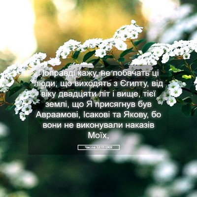 Picture 05 - Числа 32:11 UKR - Поправді кажу, не побачать - Bible Verse Picture