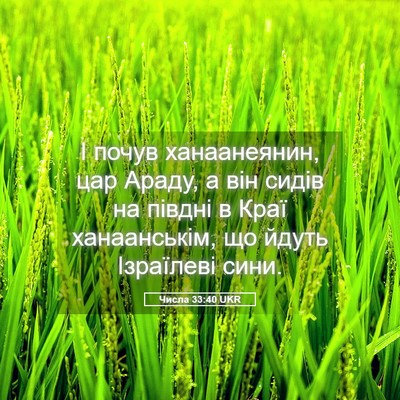 Picture 05 - Числа 33:40 UKR - І почув ханаанеянин, цар - Bible Verse Picture