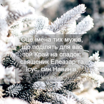 Picture 05 - Числа 34:17 UKR - Оце імена тих мужів, що - Bible Verse Picture