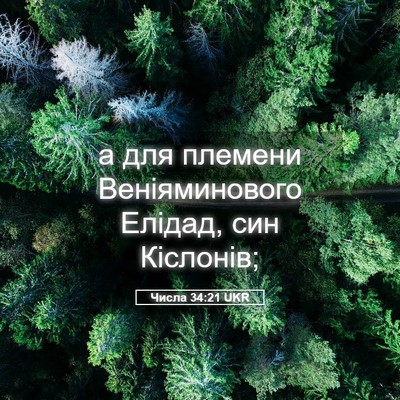 Picture 05 - Числа 34:21 UKR - а для племени - Bible Verse Picture