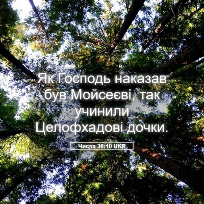 Picture 05 - Числа 36:10 UKR - Як Господь наказав був - Bible Verse Picture