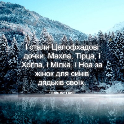 Picture 05 - Числа 36:11 UKR - І стали Целофхадові дочки: - Bible Verse Picture